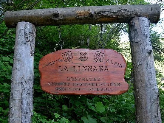 Jardin alpin La Linnaea
