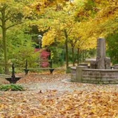 Kurpark Bad Emstal