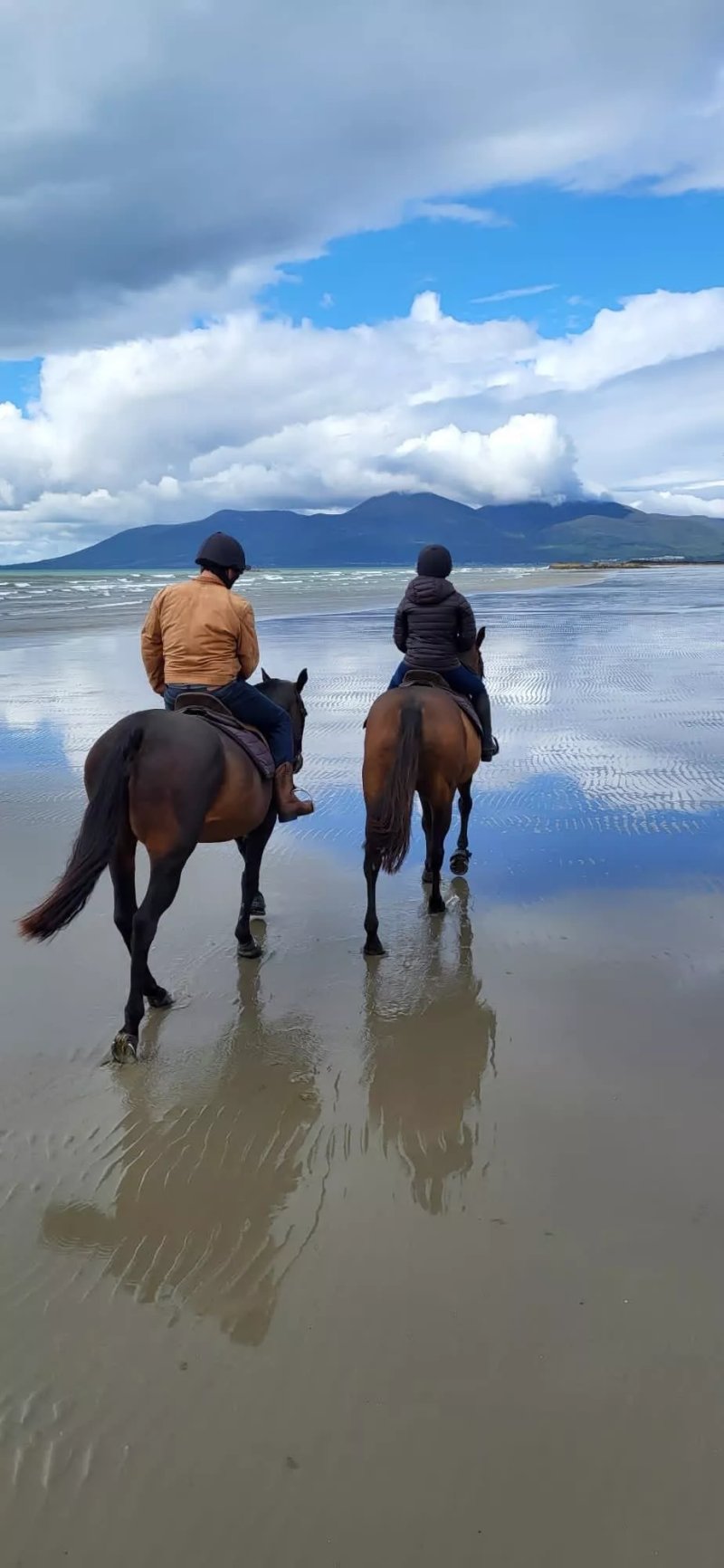 SeaHorse Polo & Beach Rides