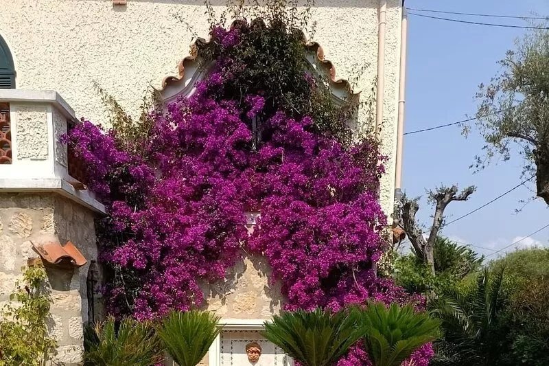 Charming villa in a private park, walk down to the sea from this peaceful spot
