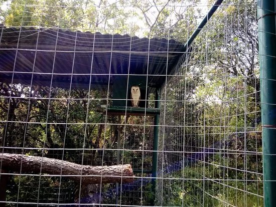 Parco delle Fate