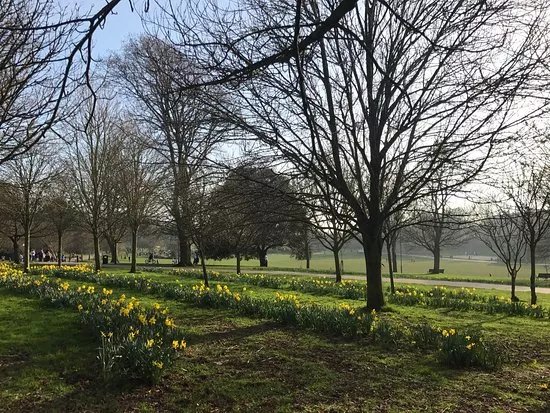 Hove Park