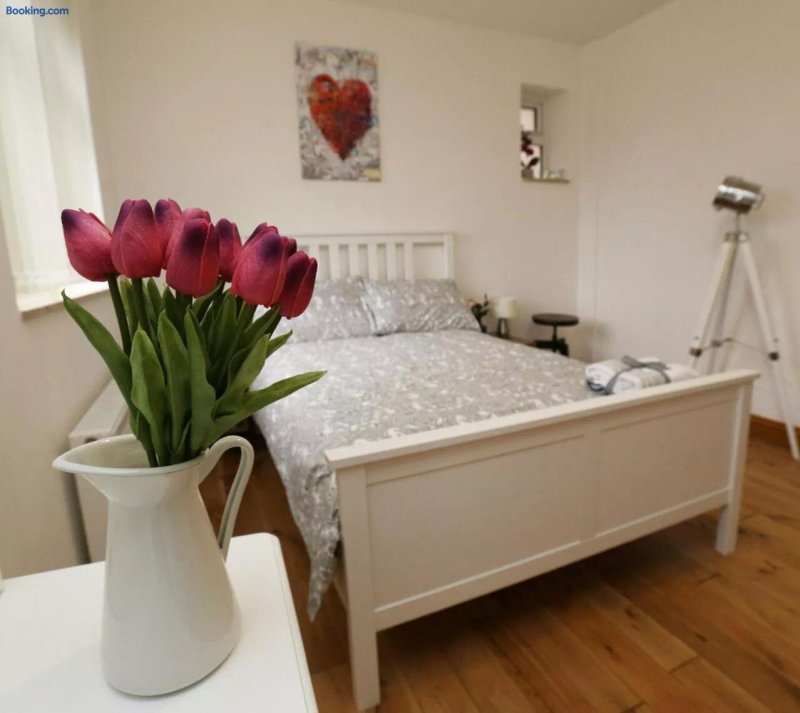 Luxurious Apartment N22
