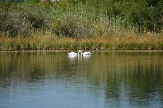 Riserva Naturale Valle Cavanata