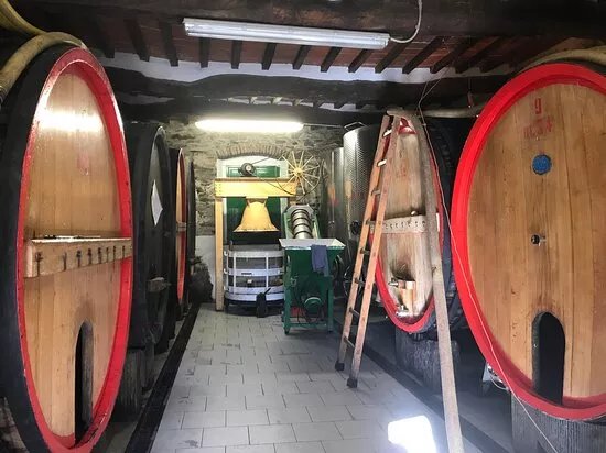 Azienda Agricola Badini