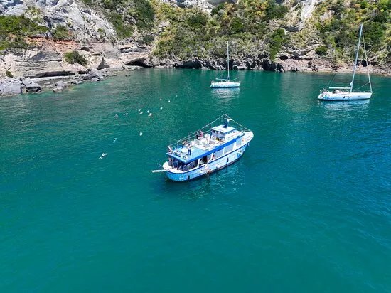 Alcione Boat - Marlin One