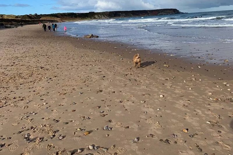 86 Seatown Cullen Moray