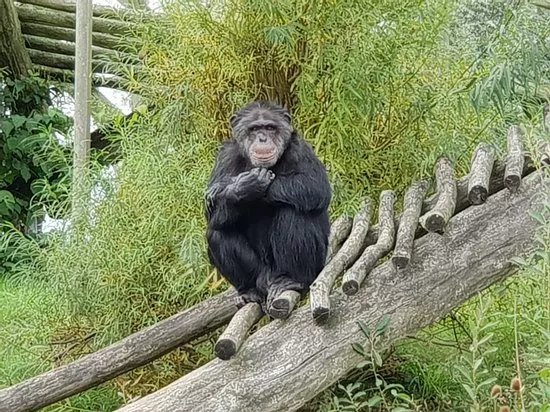 Derr Zoo-Park Arche Noah in Gromitz/Ostsee