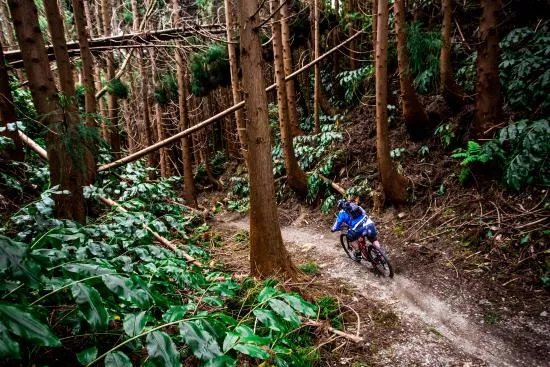 Bike Safari Tour
