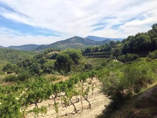 Domaine de Durban