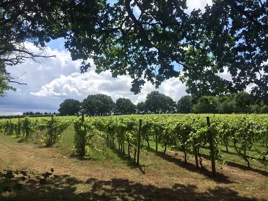 Astley Vineyard