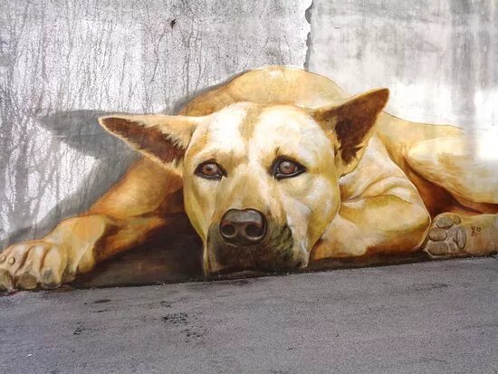 Anima Le Vie - Pordenone