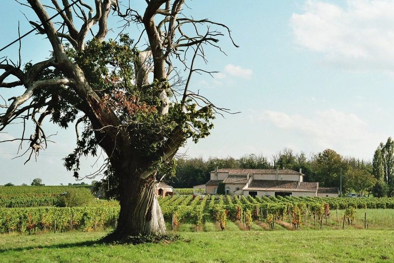 Chateau l'Hospital