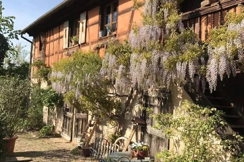 Apartment in old Alsatian farmhouse