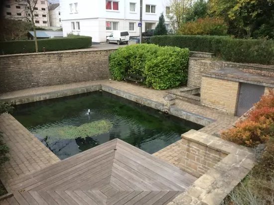 Source de la Semois