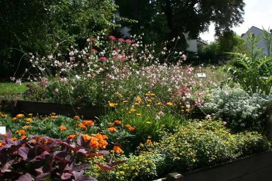 Botanischer Garten
