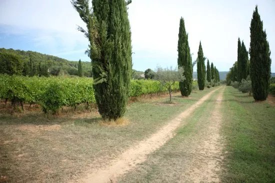 Domaine Valcolombe