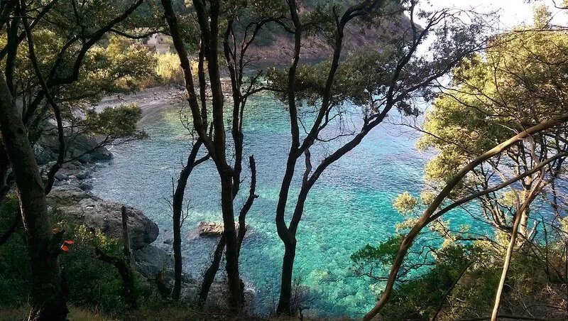 Lovely seaview villa in full Elba Island Natural Park, quietness nature & sea