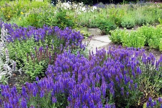 Rosengarten