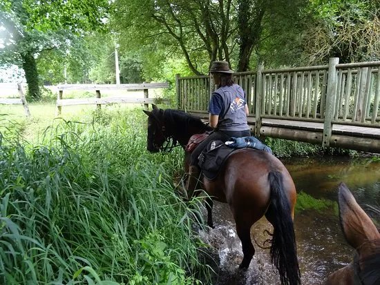 Parigne Cheval Aventures