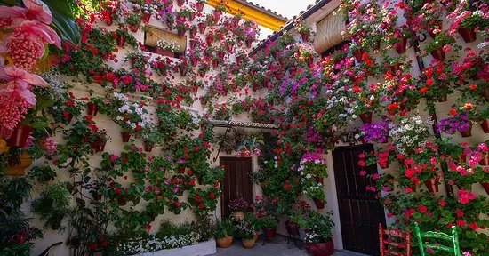 DePatios Turismo En Cordoba