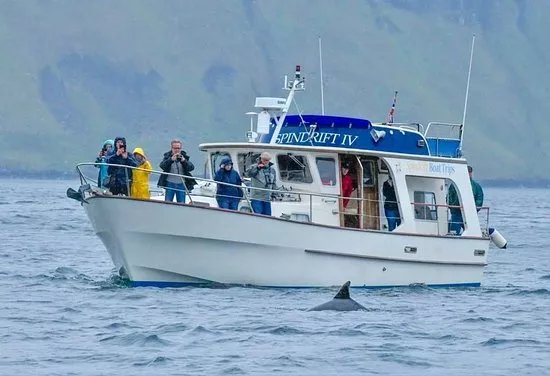 Spindrift Boat Cruises