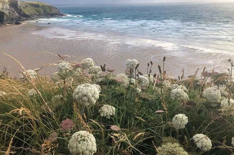 Cosy cottage, peaceful setting 5 mins to beautiful sandy beach & fabulous walks!
