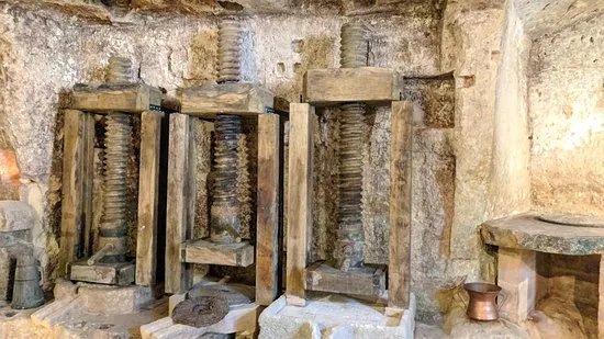 MOOM Matera Olive Oil Museum