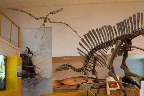 Museo di Paleontologia Unical