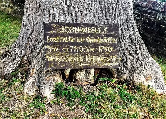John Wesley's Last Open Air Sermon Tree