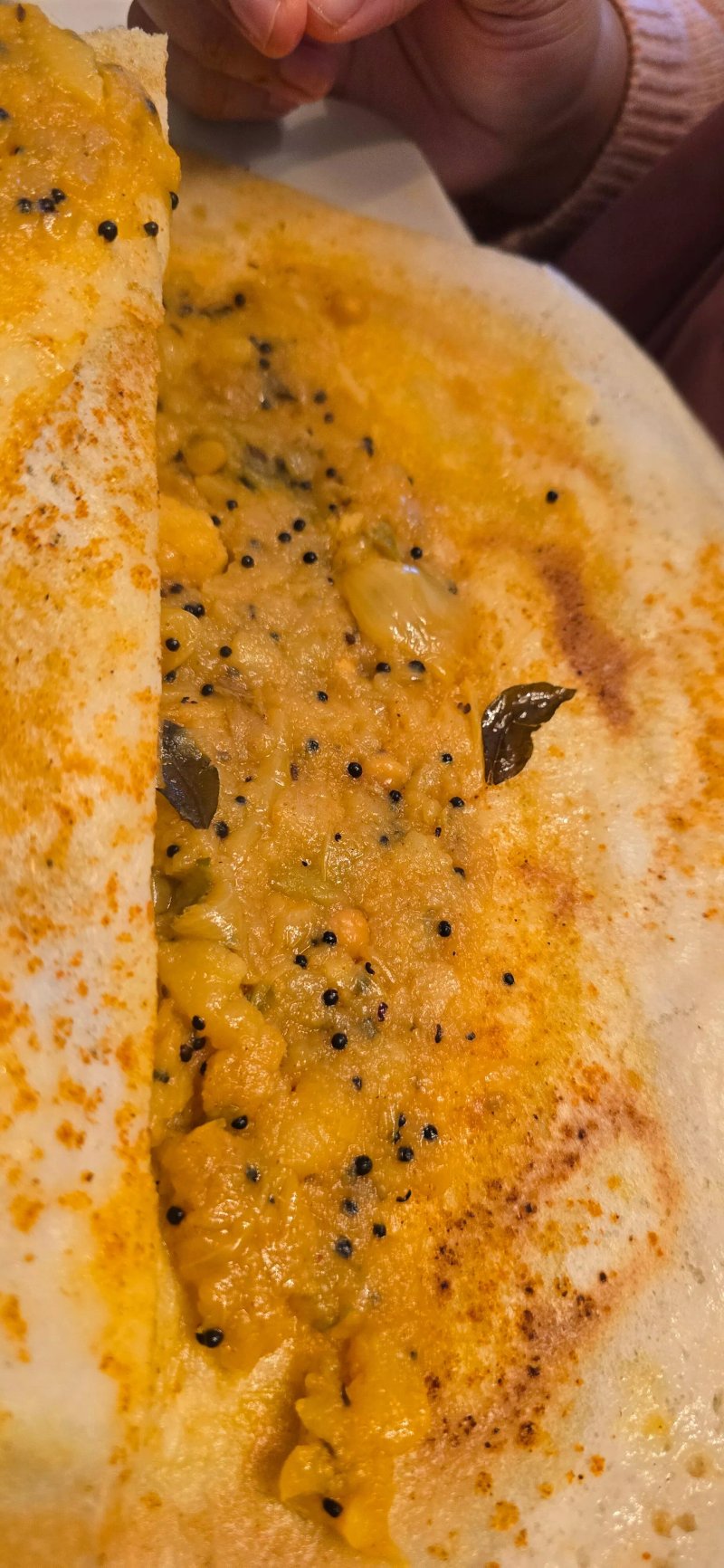 INDelicious Indian Street Food Bistro
