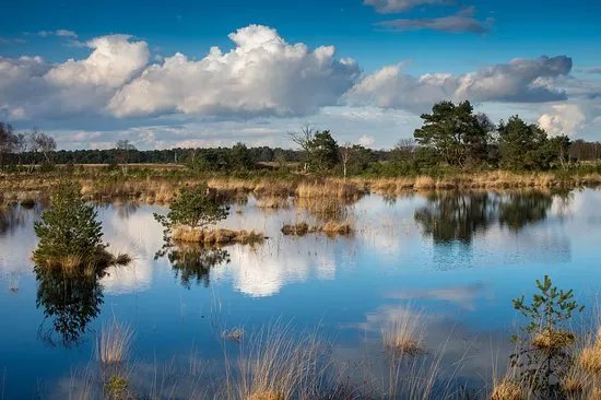 Hageven-De Plateaux