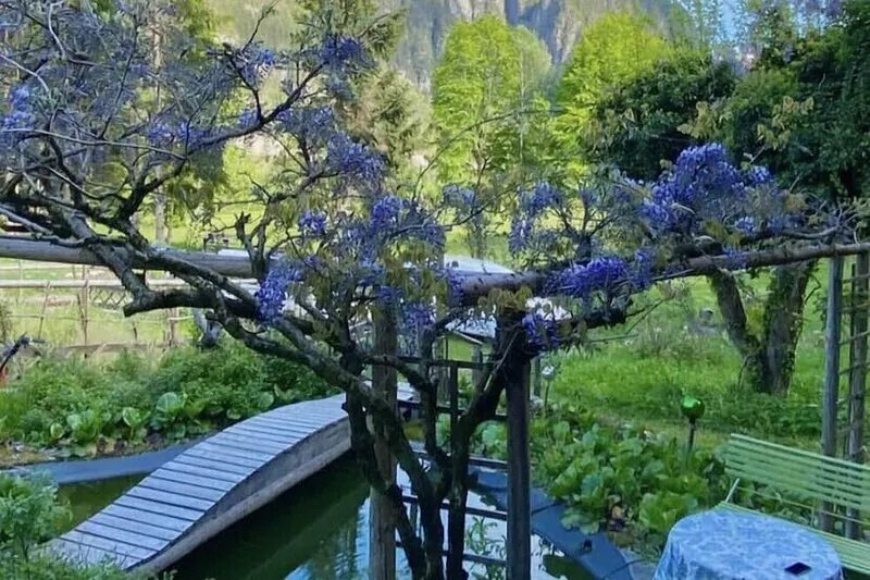 Paola's Country House - Vanoi Primiero Dolomiti Trentino
