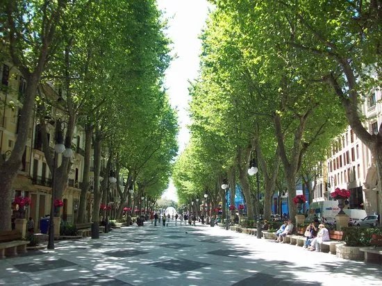 Passeig des Born
