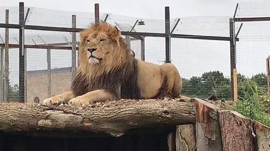 Wolds Wildlife Park