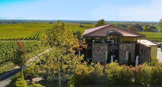 Das Weinhaus - Vinothek Messmer