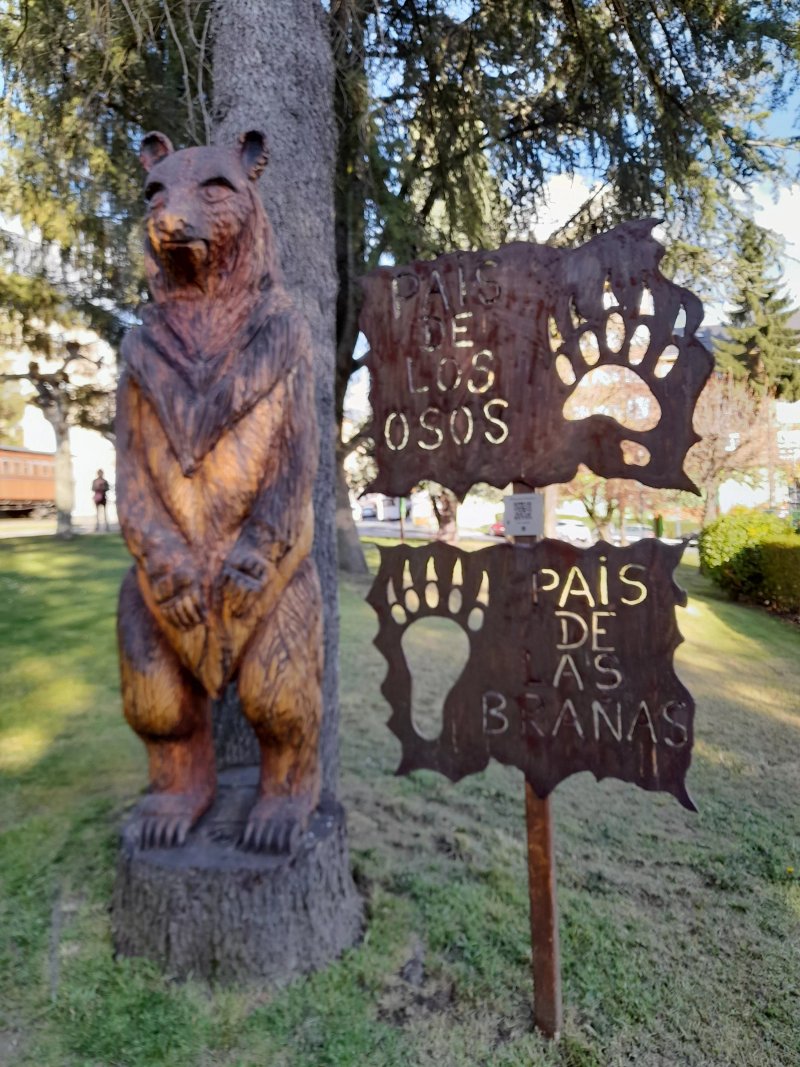 Escultura Del Oso