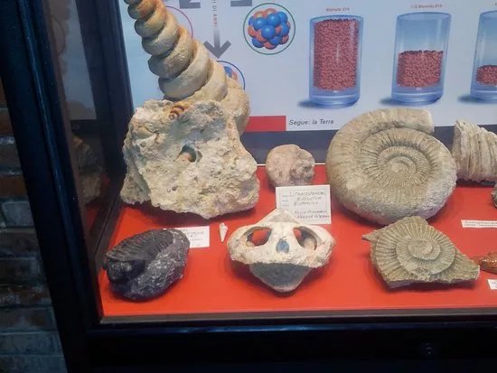 Museo dei Fossili e Minerali del Monte Nerone