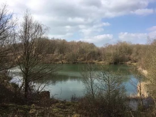 Swanwick Lakes