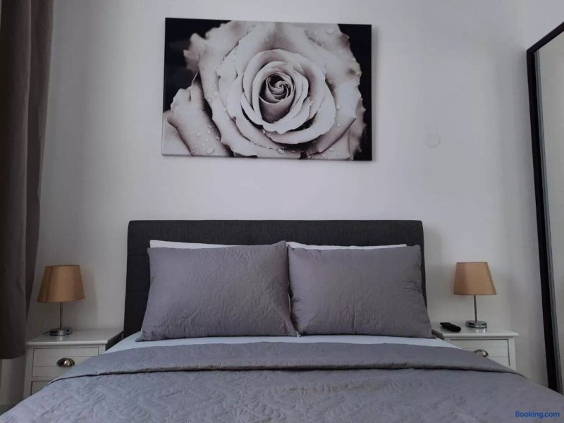 Luxury City Center Apartment - Garofita Romana