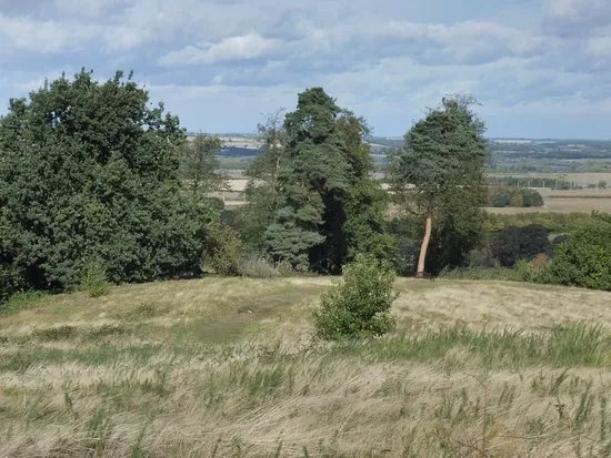 Ampthill Park