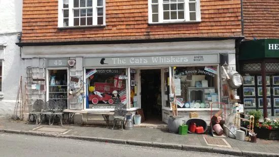 The Cat's Whiskers