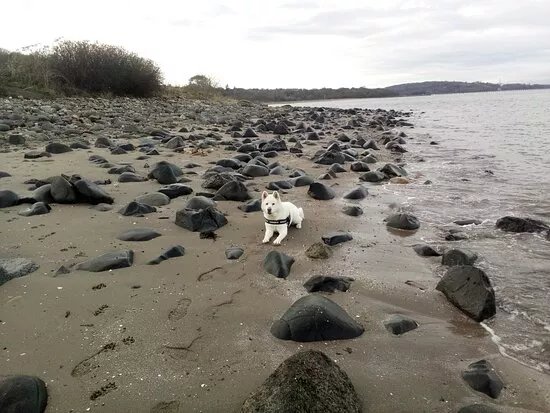 Silverknowes Beach