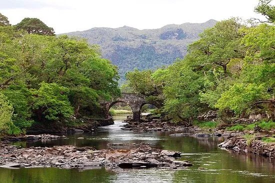Muckross Lake Boat Tours