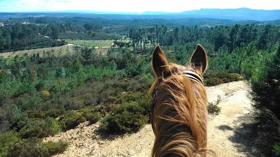 Horseback riding Portugal Adventures