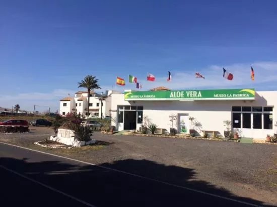 Aloe Vera museum