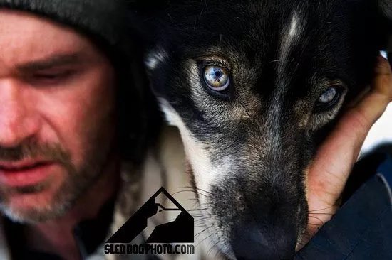 HuskyTours.CZ