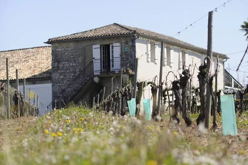 Winetourism in the heart of Bordeaux
