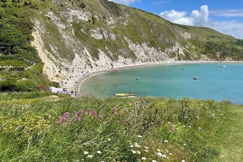 CAJUN COTTAGE, pet friendly, with a garden in West Lulworth