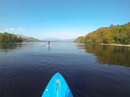 Unicorn Paddle